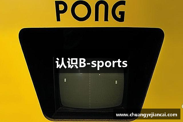 认识B-sports